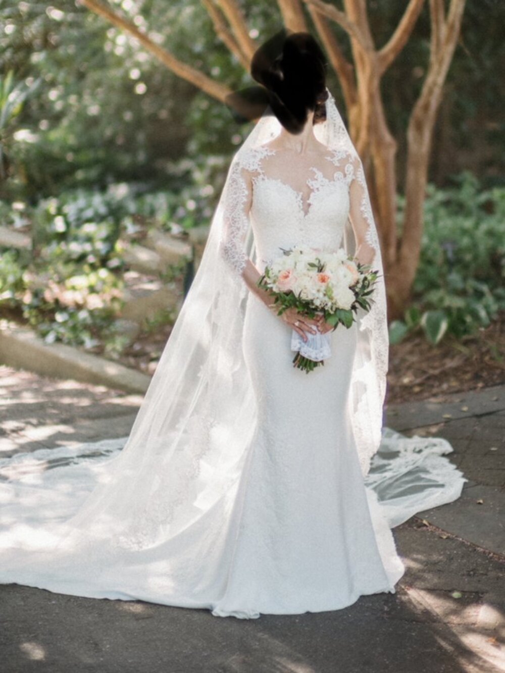 Pronovias Vicenta Wedding Gown, Label Size ES 38 • Ivory • 2023